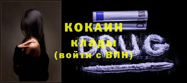 трава Инта
