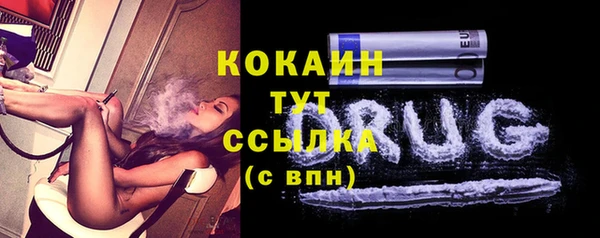 мяу мяу мука Инсар