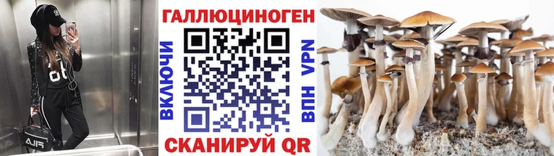 Псилоцибиновые грибы Psilocybe  Кострома 